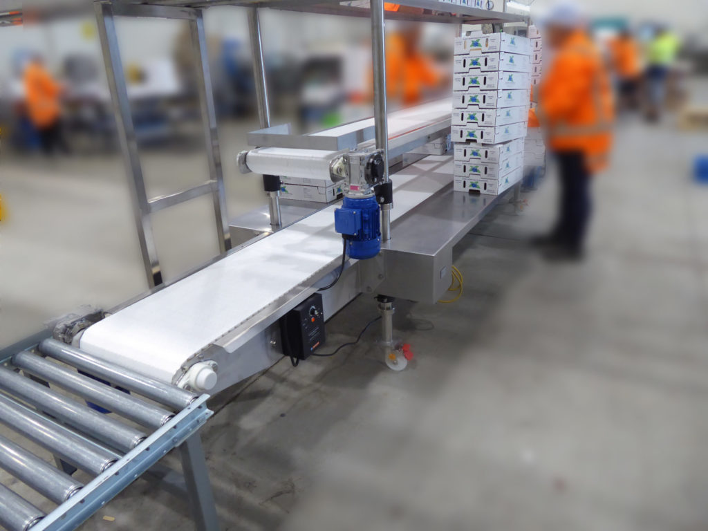 Blueberry packing facility increases productivity by EQM Industrial