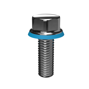 M8 Stainless Steel Hygienic Bolts - DH100-M Series