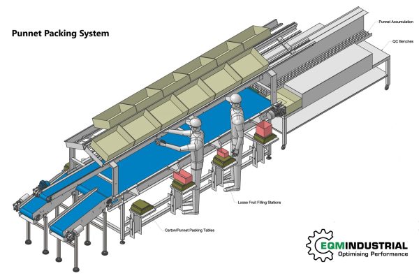 Punnet & Bag Packing Systems - Image 3