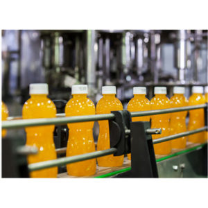 Chain Conveyor Systems