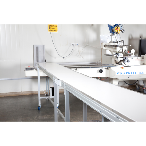 Standard 300mm Wide Belt Conveyor - Image 4