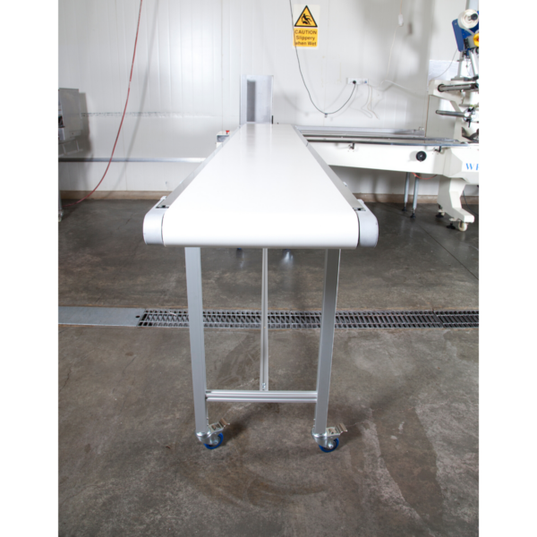 Standard 300mm Wide Belt Conveyor - Image 3