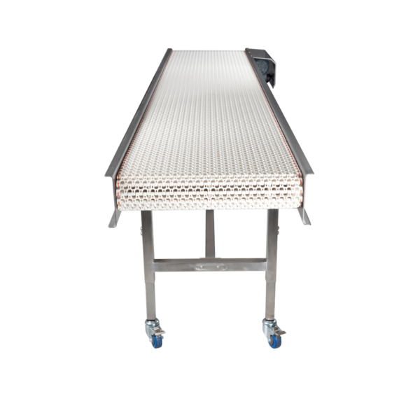 Slat Chain Conveyors - Image 4