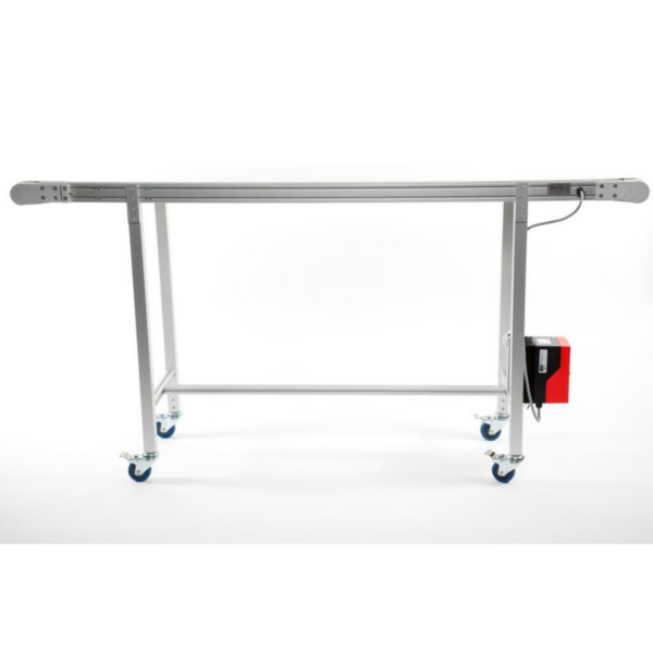 Standard 300mm Wide Belt Conveyor - Image 2